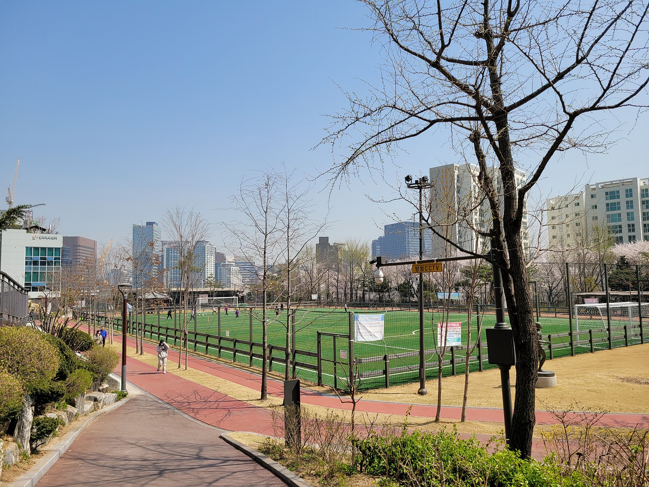 球员合作树 球员合作树