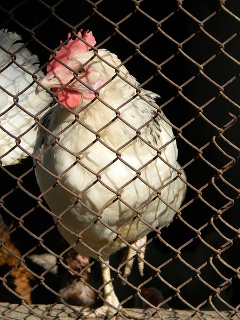 的提升空间 的提升空间