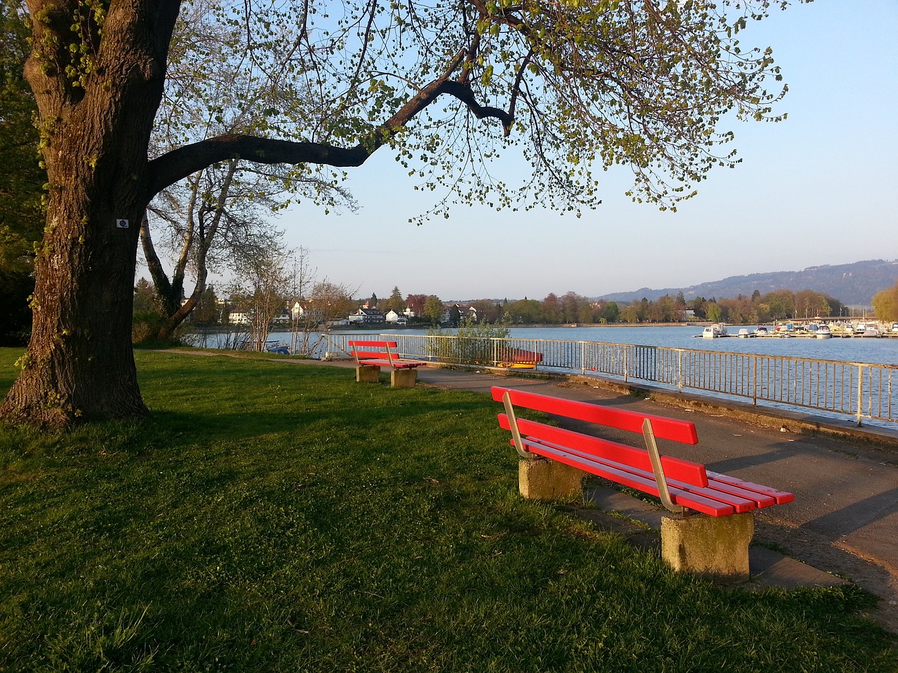 脚步移动和 脚步移动和